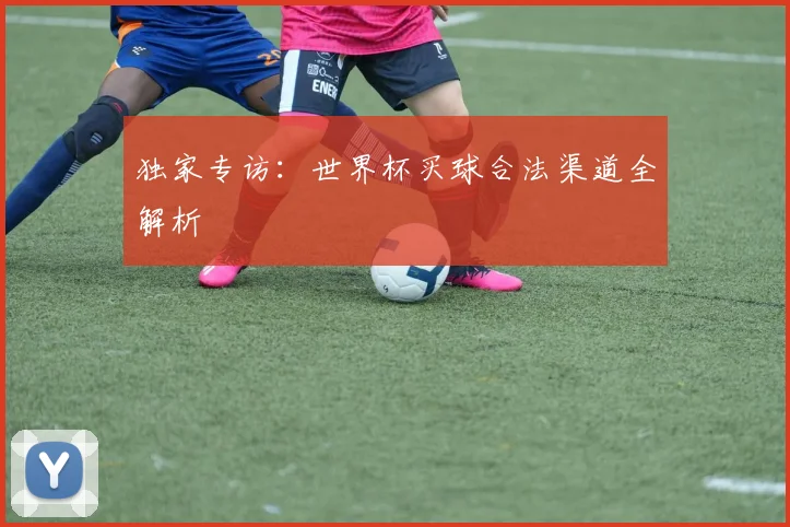 独家专访：世界杯买球合法渠道全解析