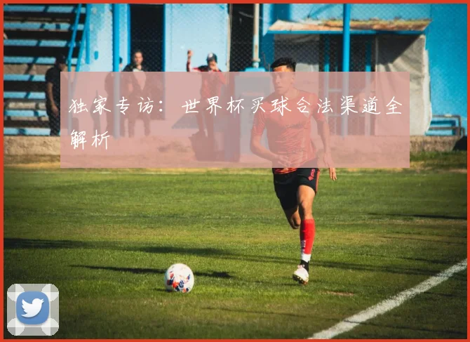 独家专访：世界杯买球合法渠道全解析